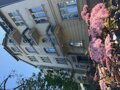 ACCO RENT - 32